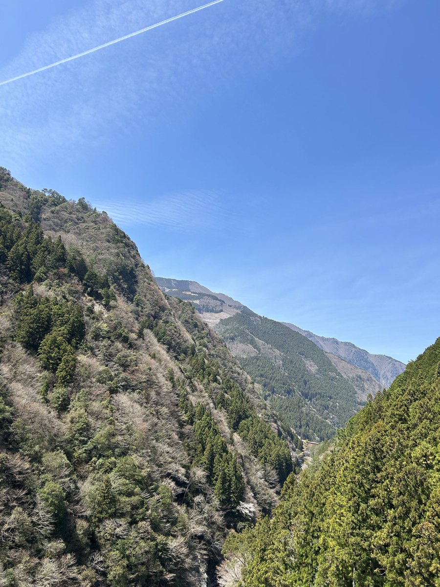 臣_ゼロ@ぐら☆ESTP-A tweet media