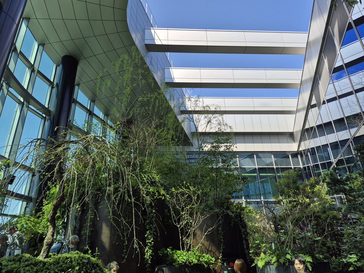 ライドウ@DQ10、FF14(Ixion鯖)、グラブル tweet media