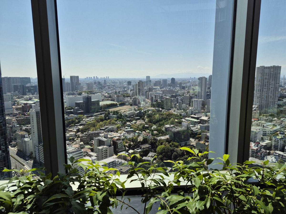 ライドウ@DQ10、FF14(Ixion鯖)、グラブル tweet media