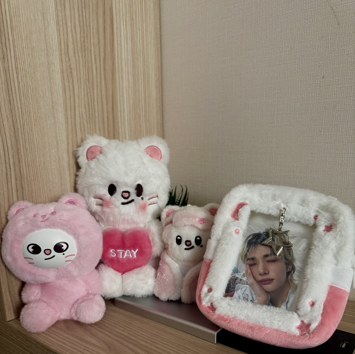 줄린진🫶🏻 tweet media