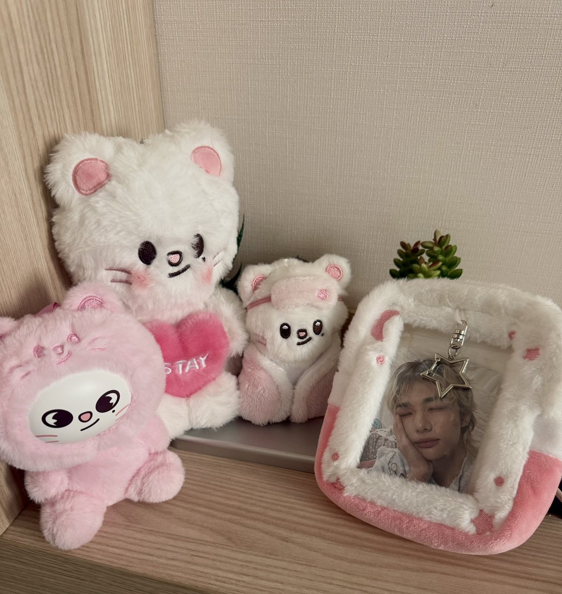 줄린진🫶🏻 tweet media