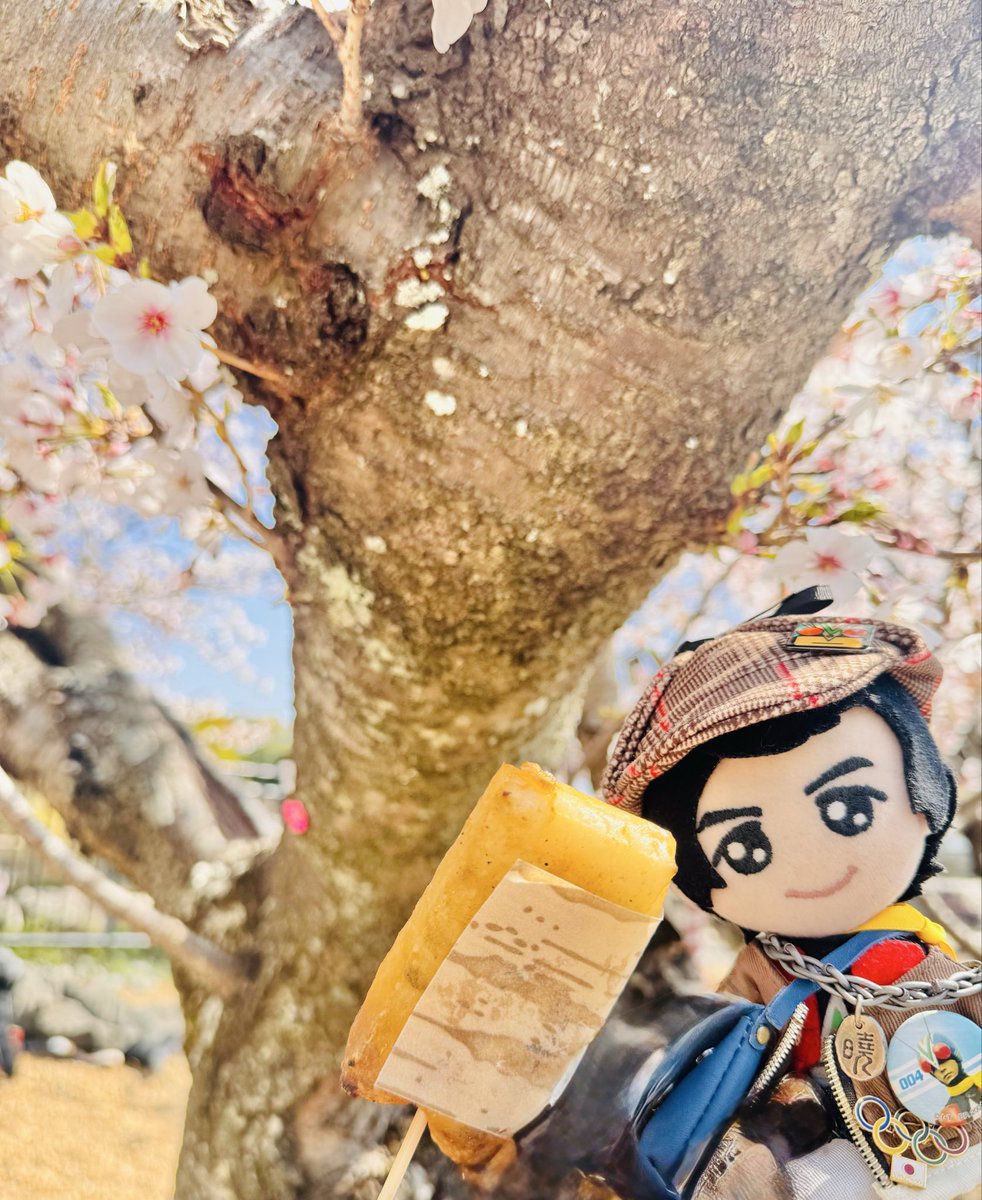 今日はお花見日和🌸お餅美味しい🫶