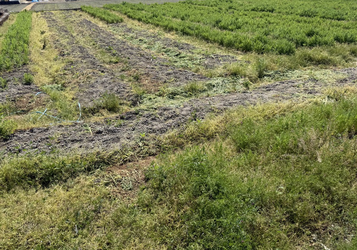 ひまり/素人兼業農家（☺️） tweet media