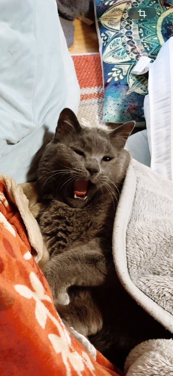 ♡LINO♡(母管理) tweet media