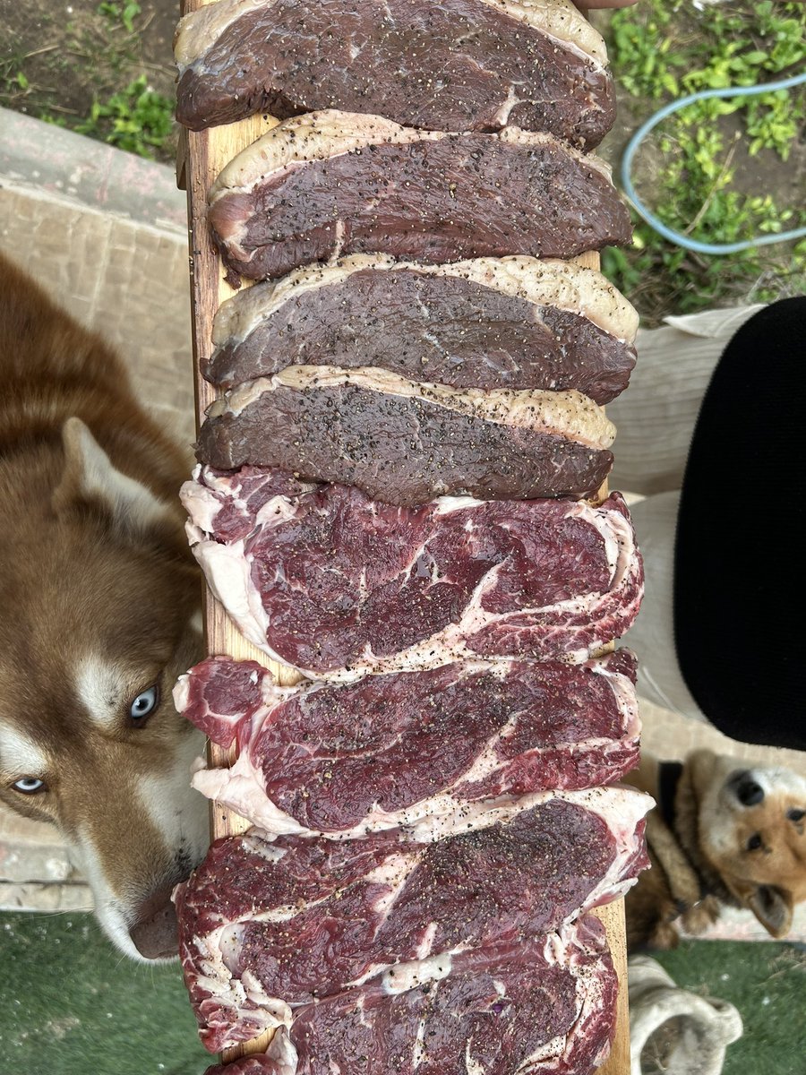 סער חיים tweet media