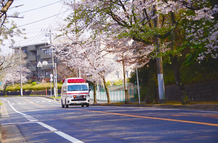 ShadowRescue119 tweet media