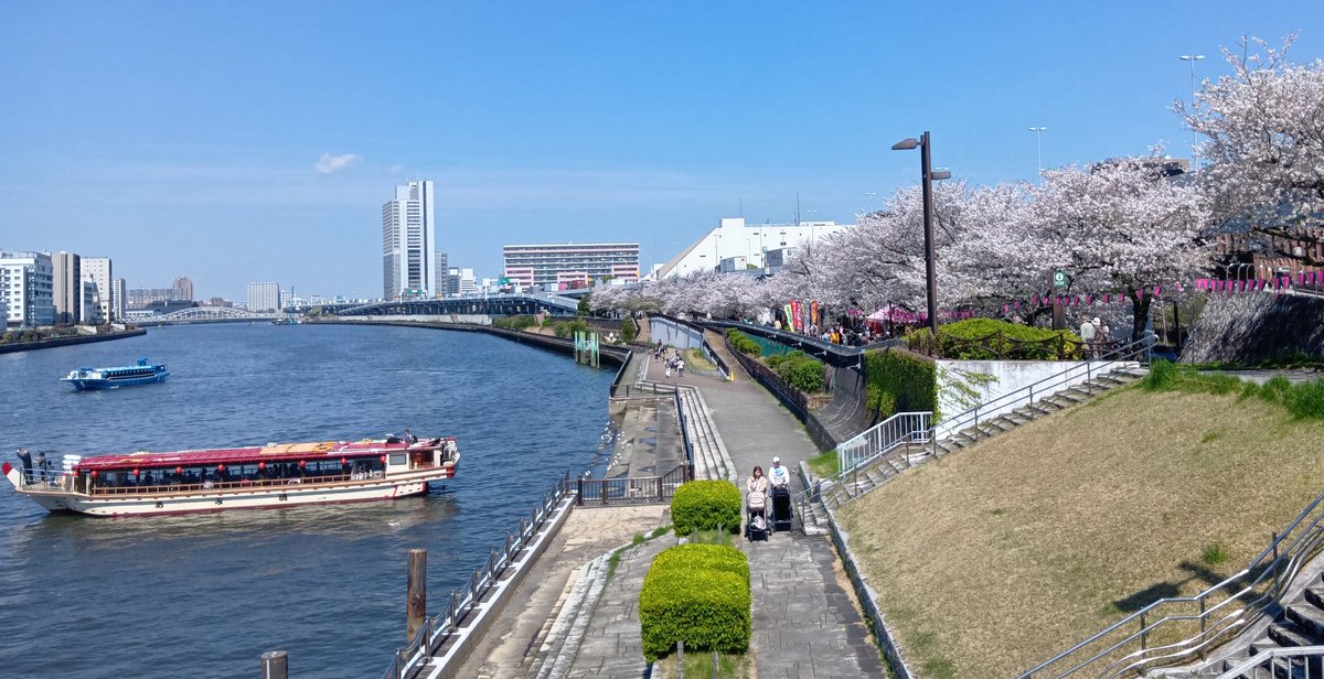 茶柱 立太 tweet media