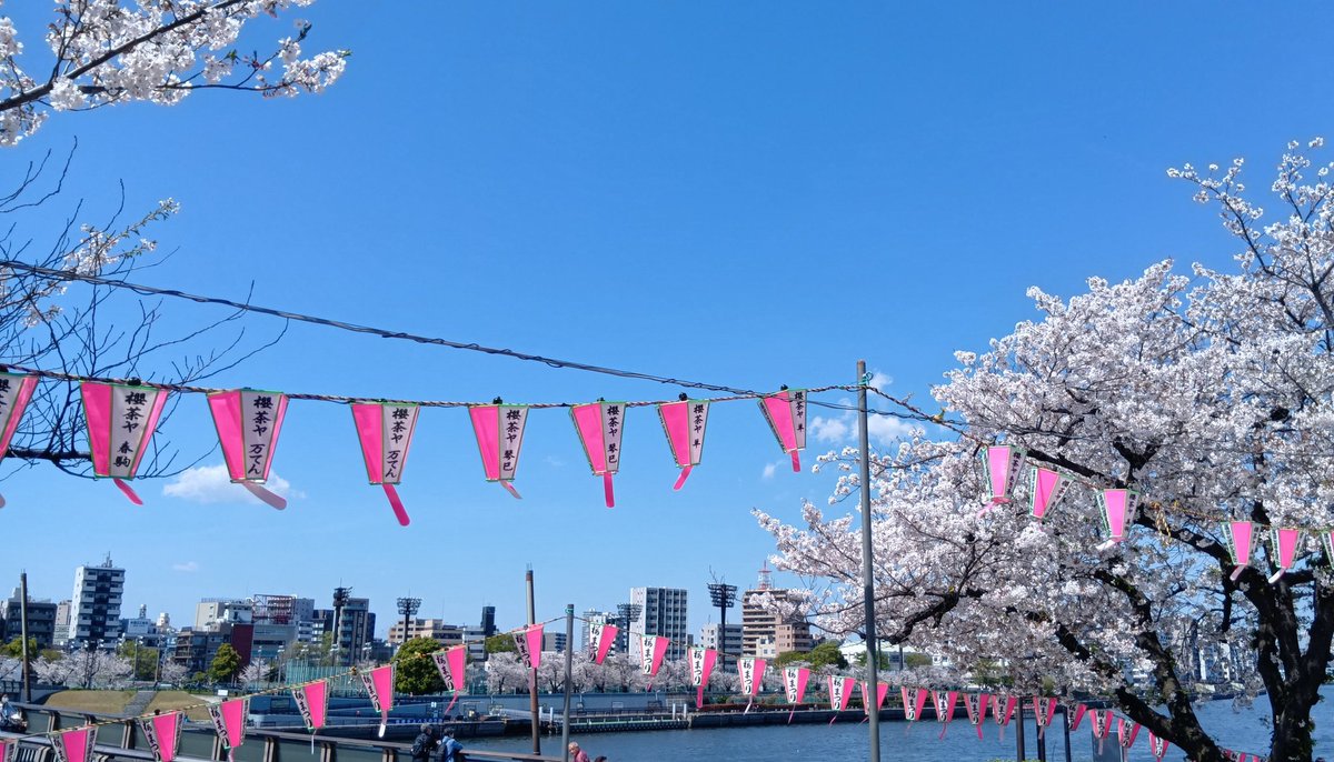 茶柱 立太 tweet media