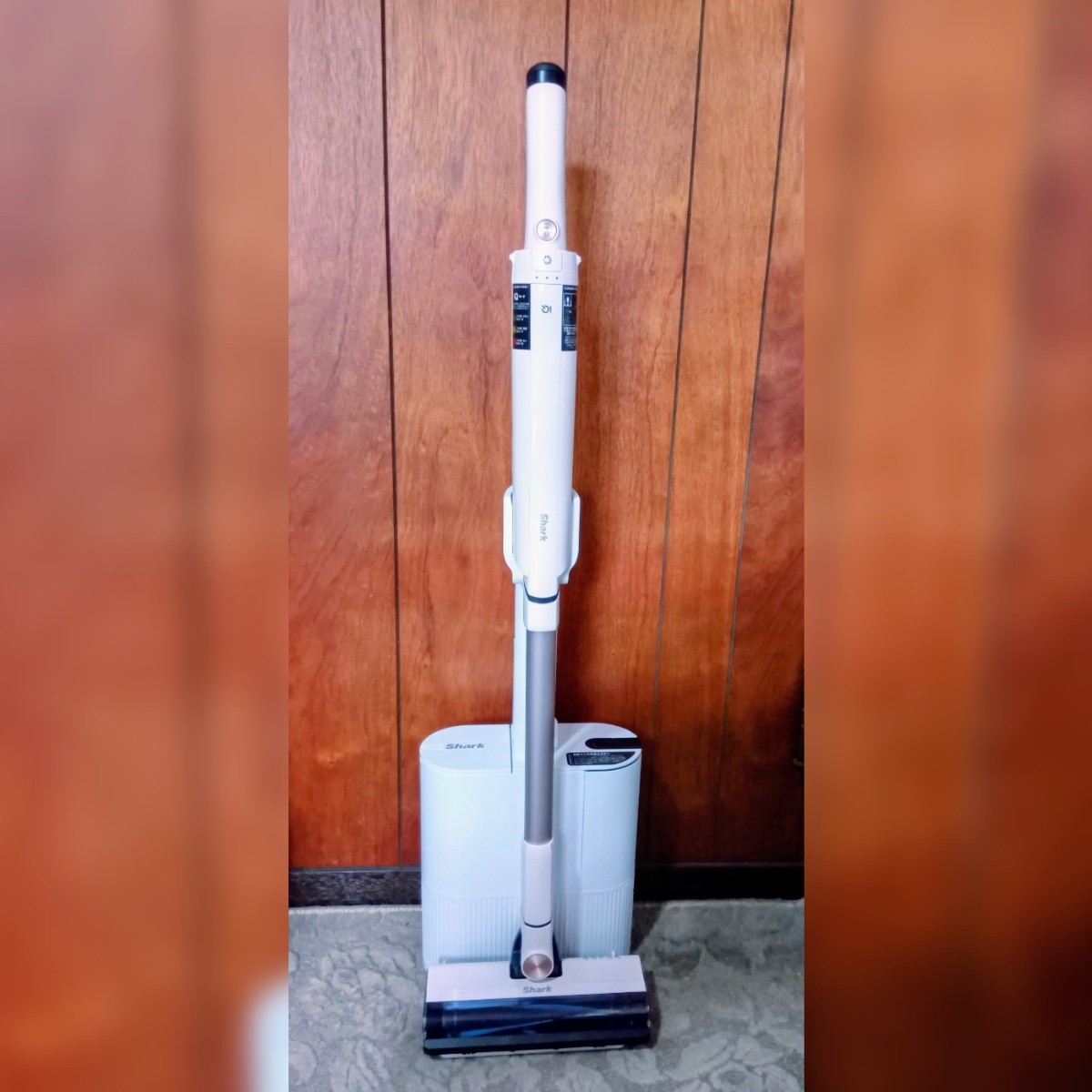 🐾ぱんな🐾 tweet media