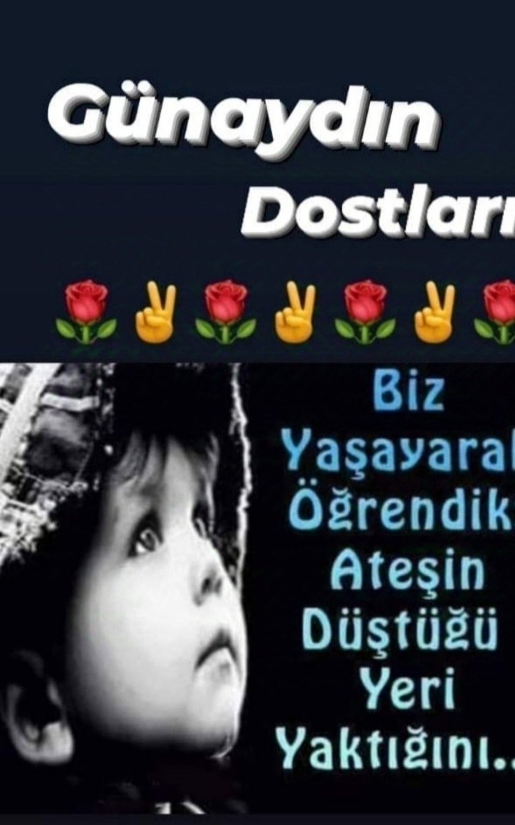 Salih Hoca tweet media