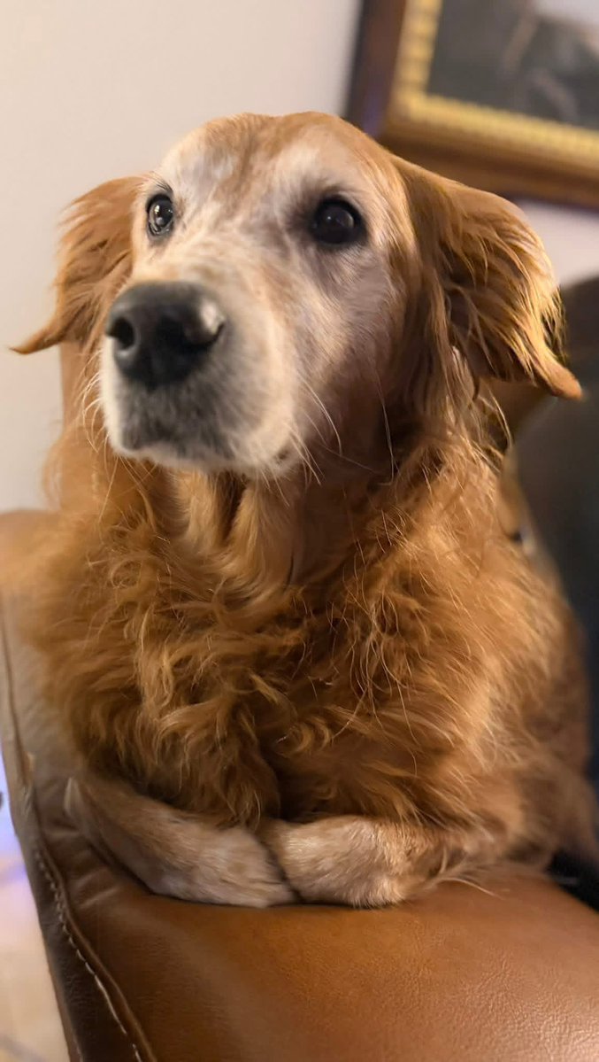 Zen✨WECK tweet media