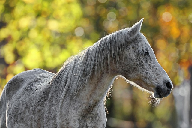 Matthew Cordova tweet media