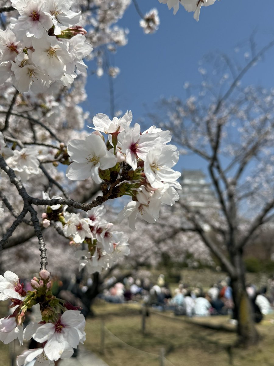 トリープ tweet media