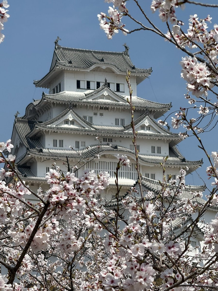 トリープ tweet media