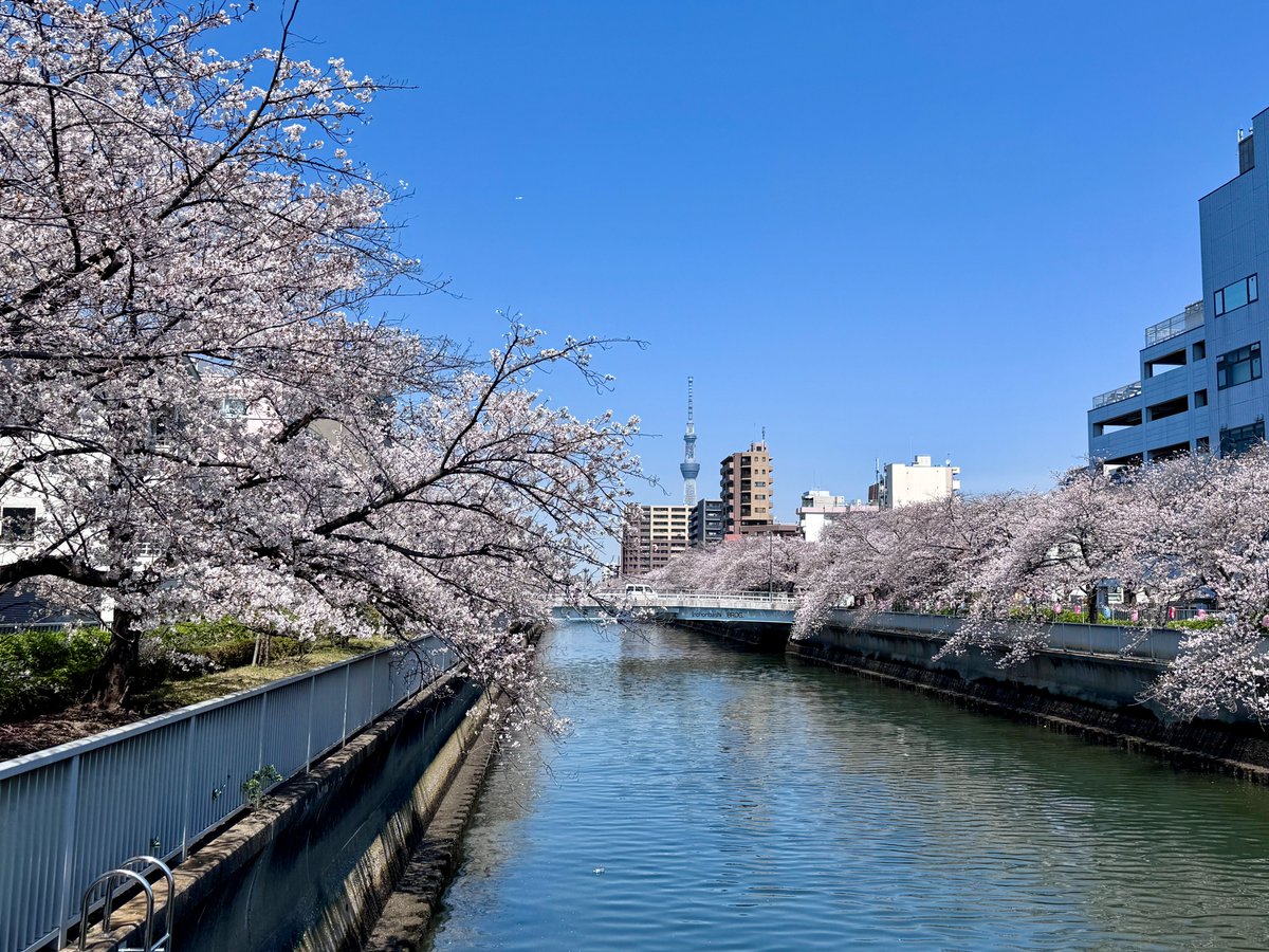 東京都現代美術館 tweet media