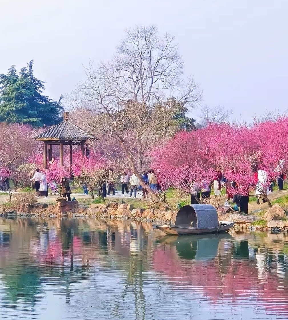 扬州中年夫妻 tweet media