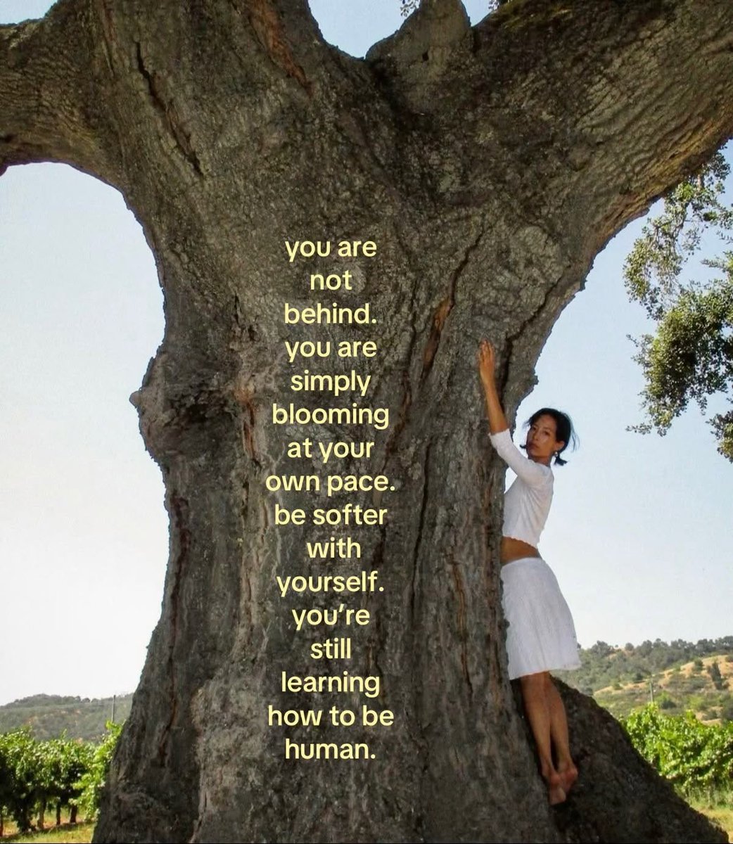 love drops tweet media