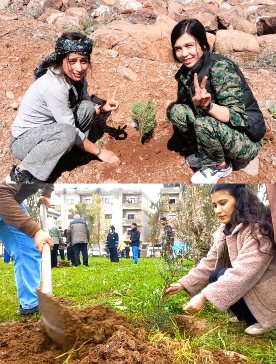 FREEDOM for ÖCALAN 🕊️ tweet media