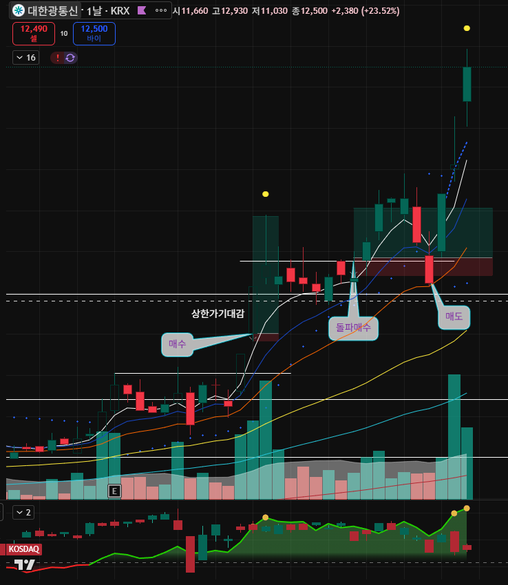 도토리키재기 tweet media