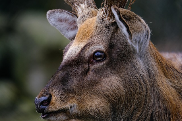 Mark Prabhu tweet media