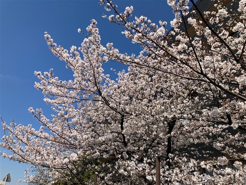 JFEスチール株式会社 tweet media