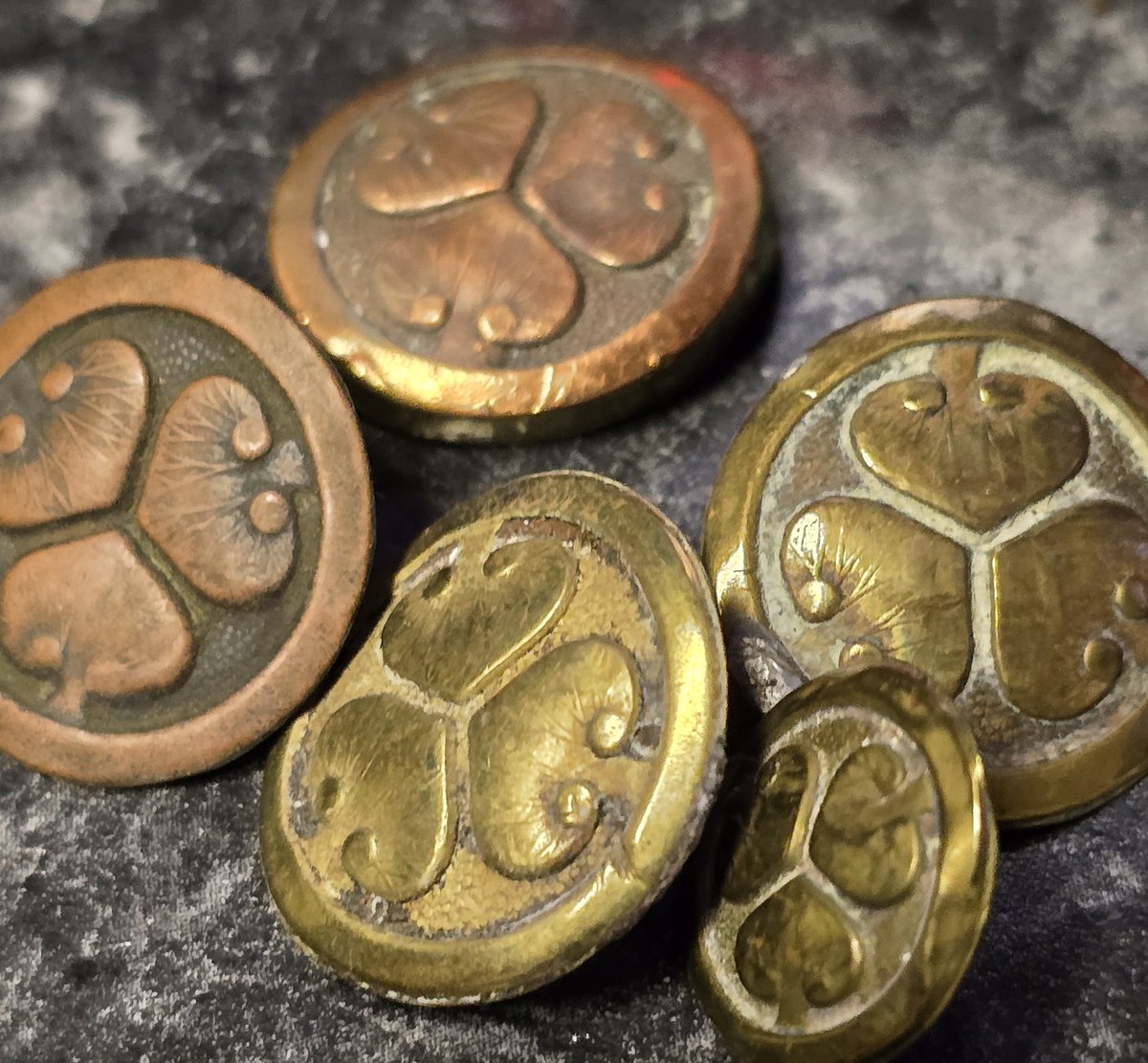 Verginius - post de Decem vermes tweet media