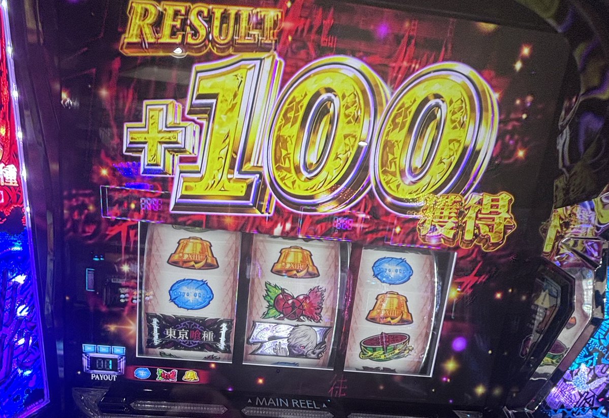 でじかめ🐢毎日ブログ更新中！ tweet media