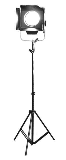 David Ferris tweet media