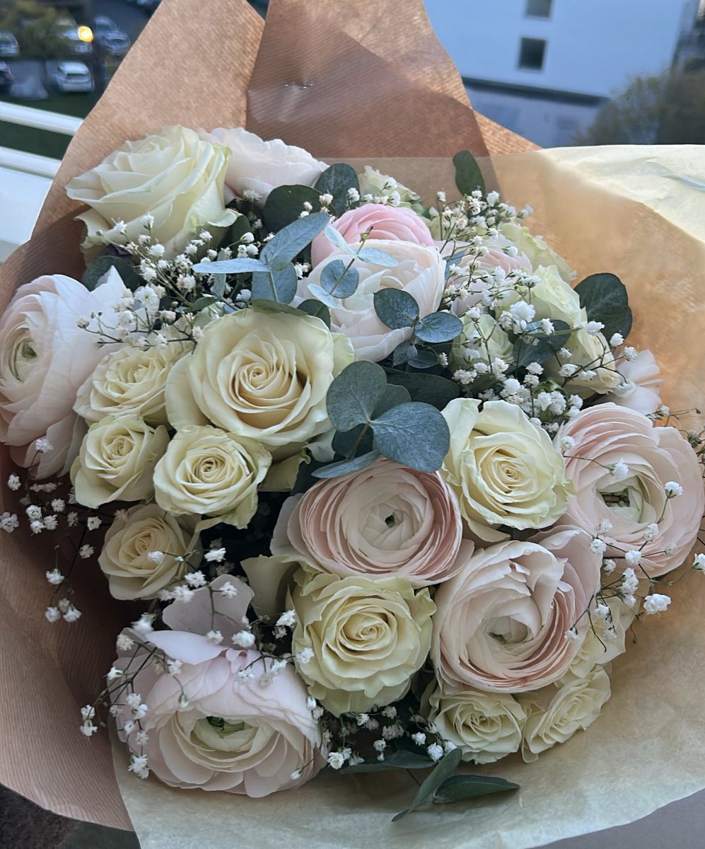 SeferRespect tweet media