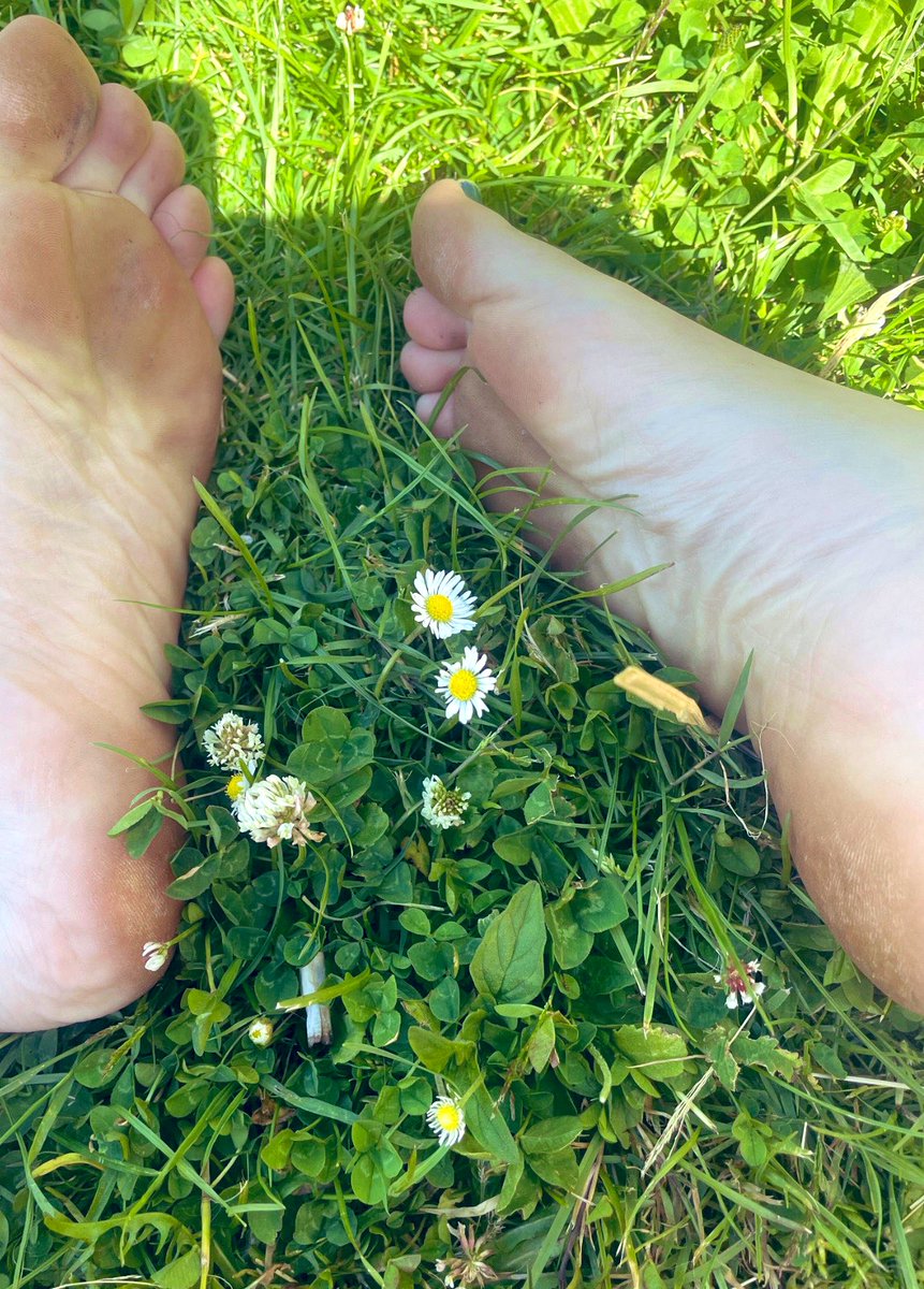 FootMumma's tweet photo. #feet https://t.co/1PeeOdzmxP