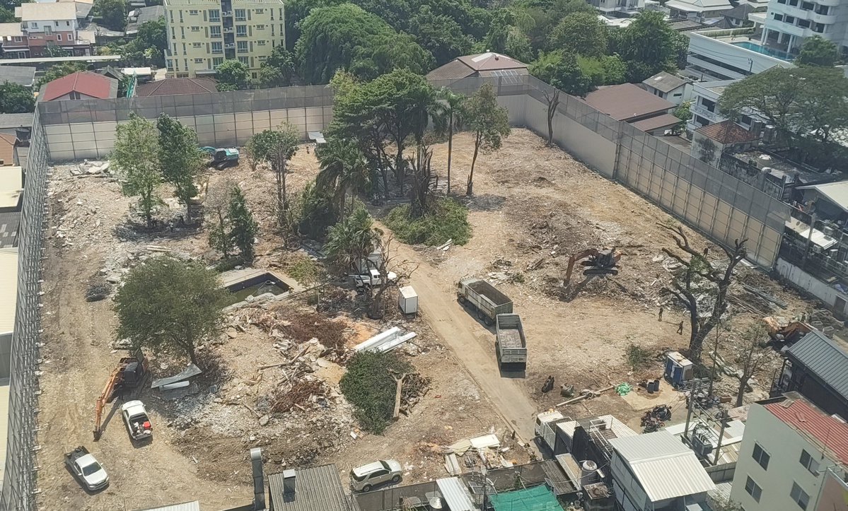 🌲⸆⸉ ˚⋆𐙚。⭑ tweet media