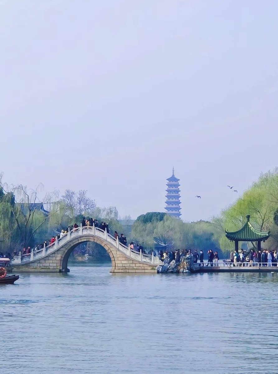 扬州中年夫妻 tweet media