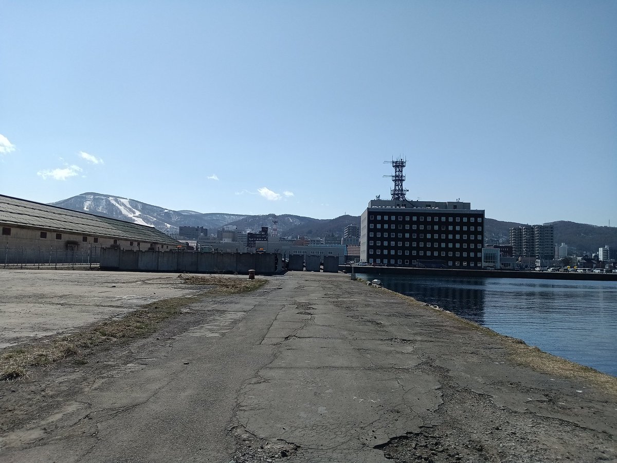 ふくすけと豆福🐿️ tweet media