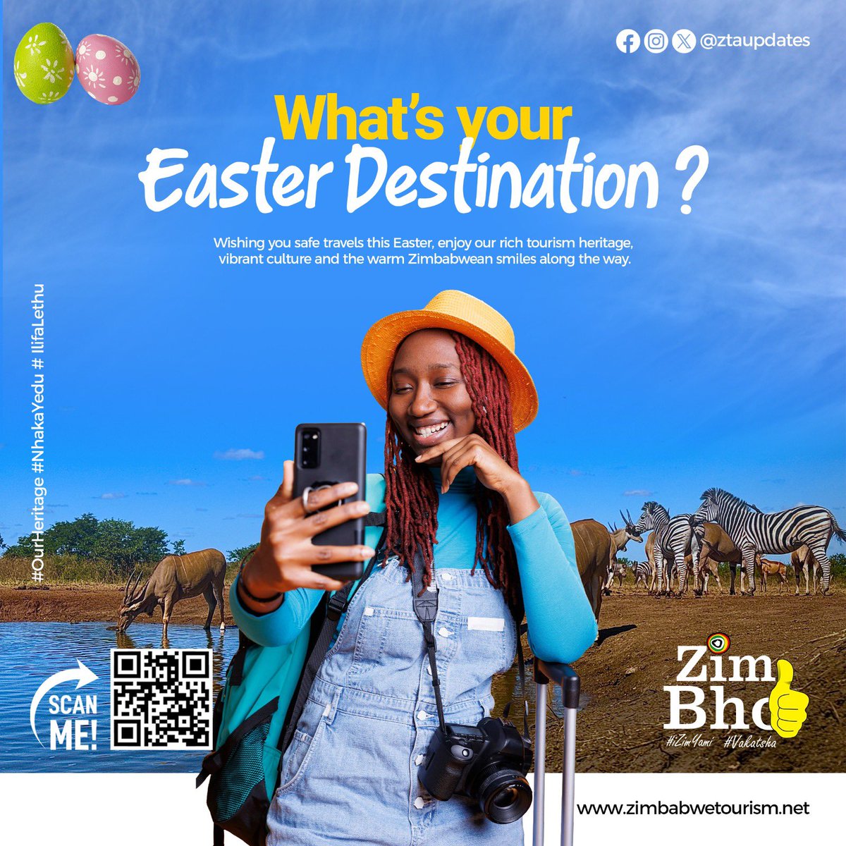 #ZimBho👍 tweet media