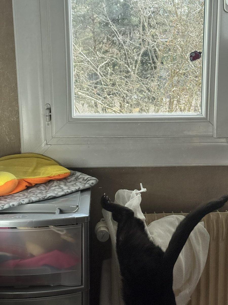 Châteauroux et Salem tweet media