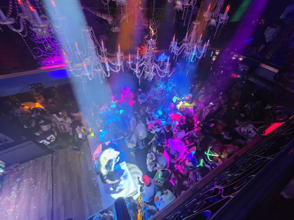 Dog In Heat 🔜 LVFC tweet media