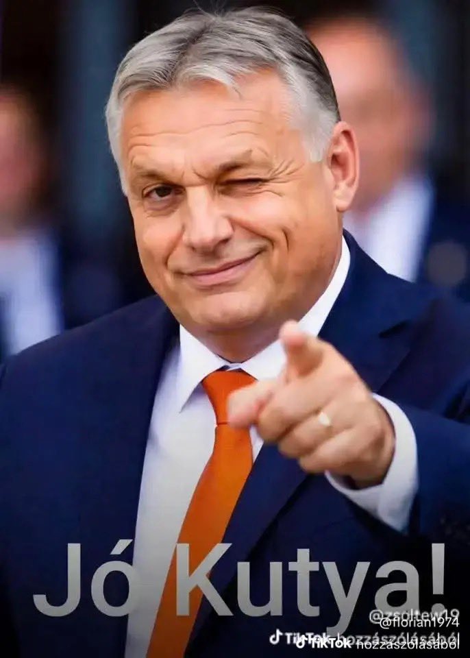 Stuffjanko tweet media