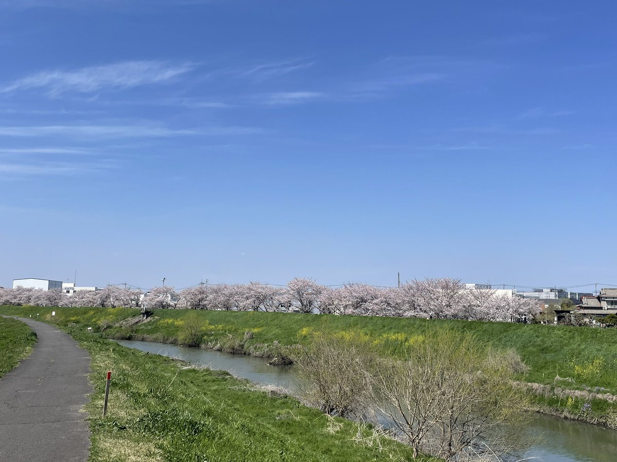 masukotsu's tweet photo. 往診中🫡

#増田接骨院 
#埼玉県柔道整復師会 
#接骨院
#整骨院
#ほねつぎ
#柔道 https://t.co/6v47P0DUQt