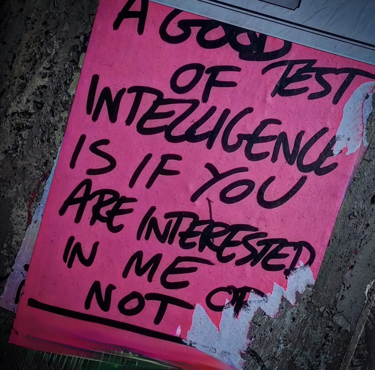 The Hedgehog tweet media