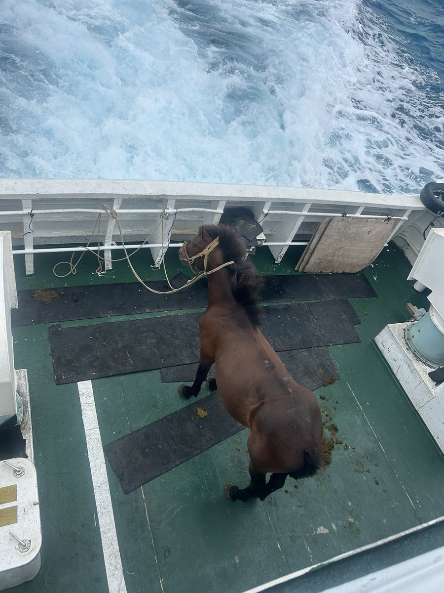 タクろう@ tweet media