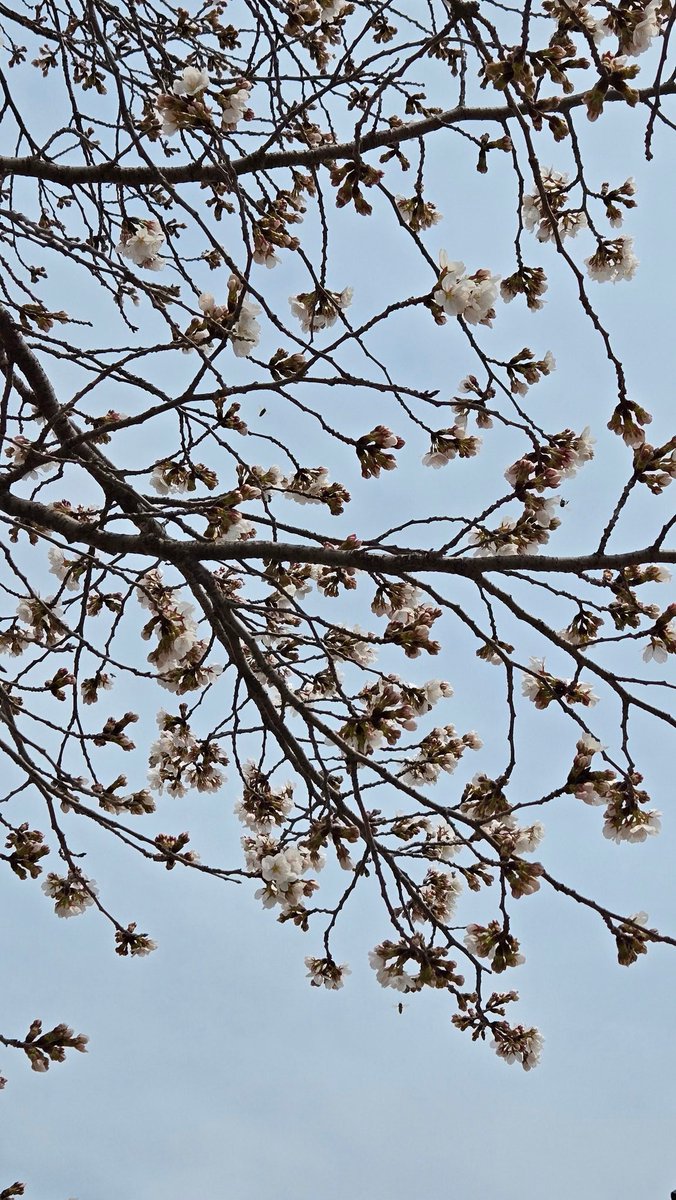 🍒 이니별 🍒 tweet media