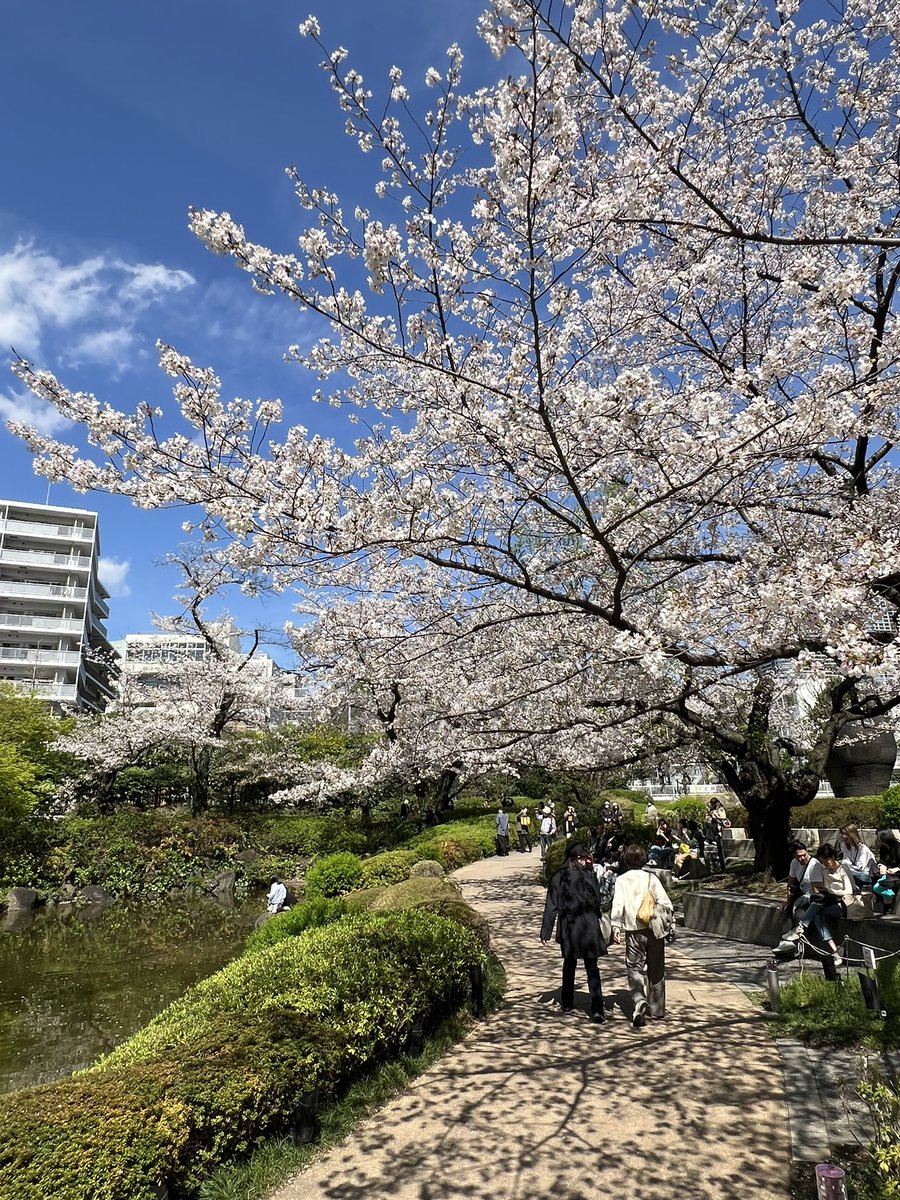 金欠の砂肝🐕 tweet media