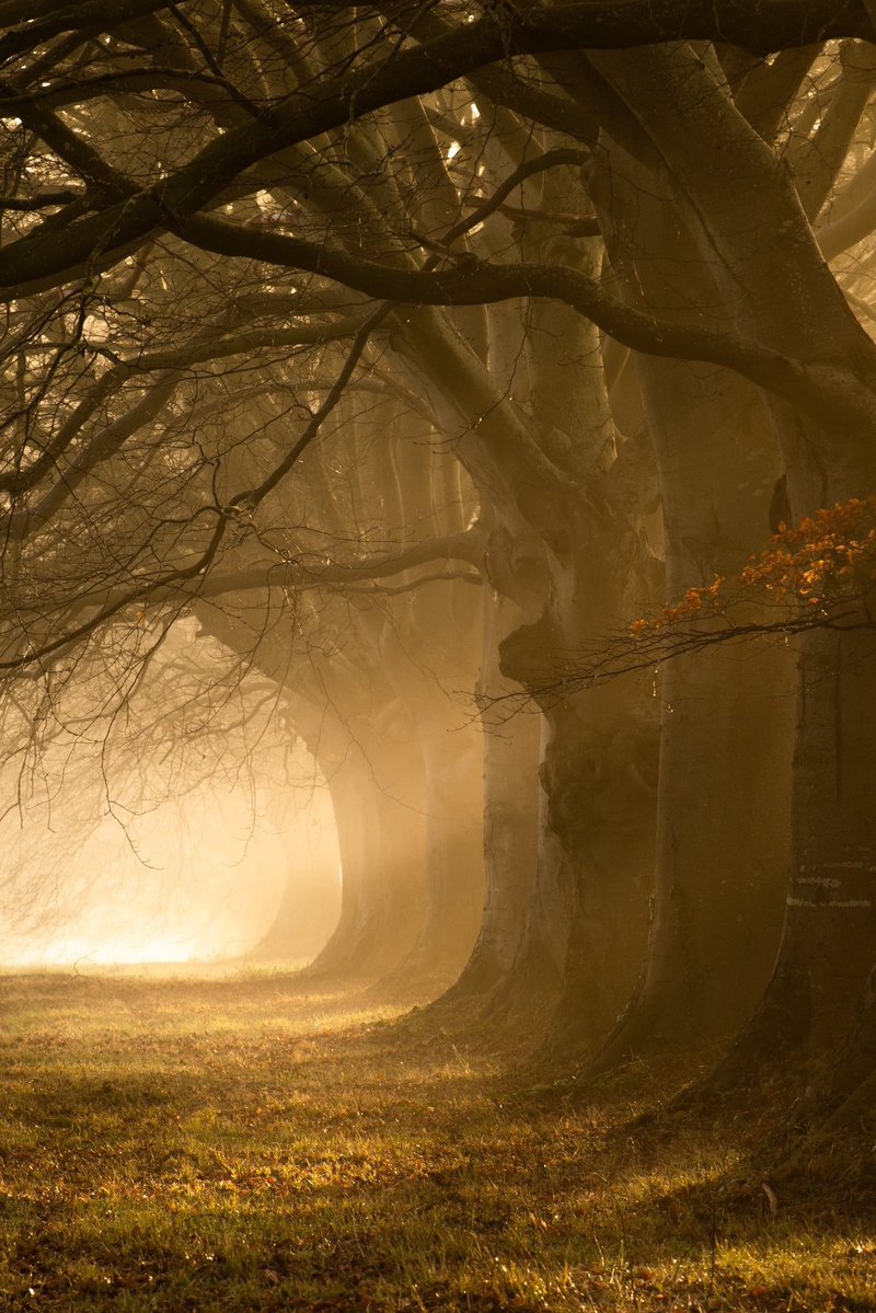 𝐌𝐚𝐭𝐭 𝐏𝐢𝐧𝐧𝐞𝐫 tweet media