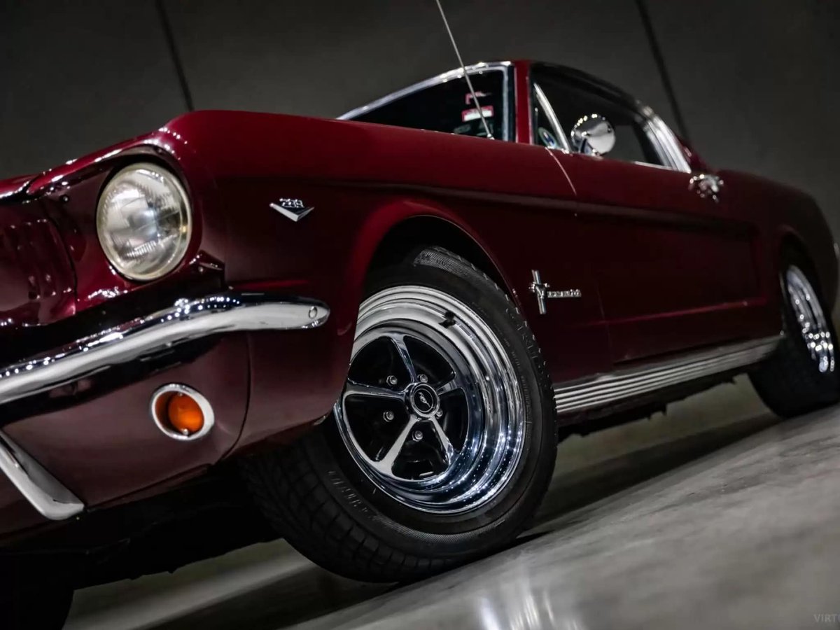 AlejandroJGarza's tweet image. #Ford 🏁 #Mustang