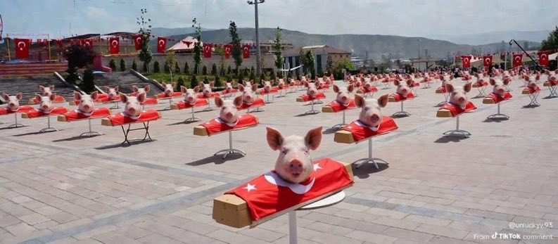 Ashirbad 00🔫🇮🇳 tweet media