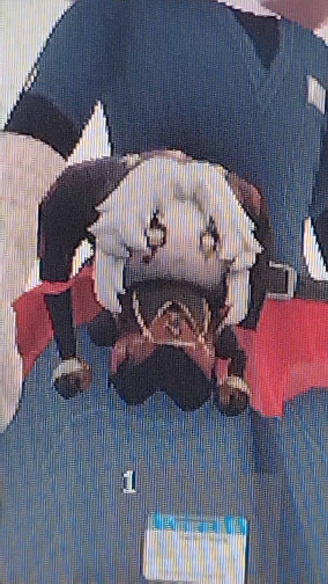 Shiro 🅱 tweet media