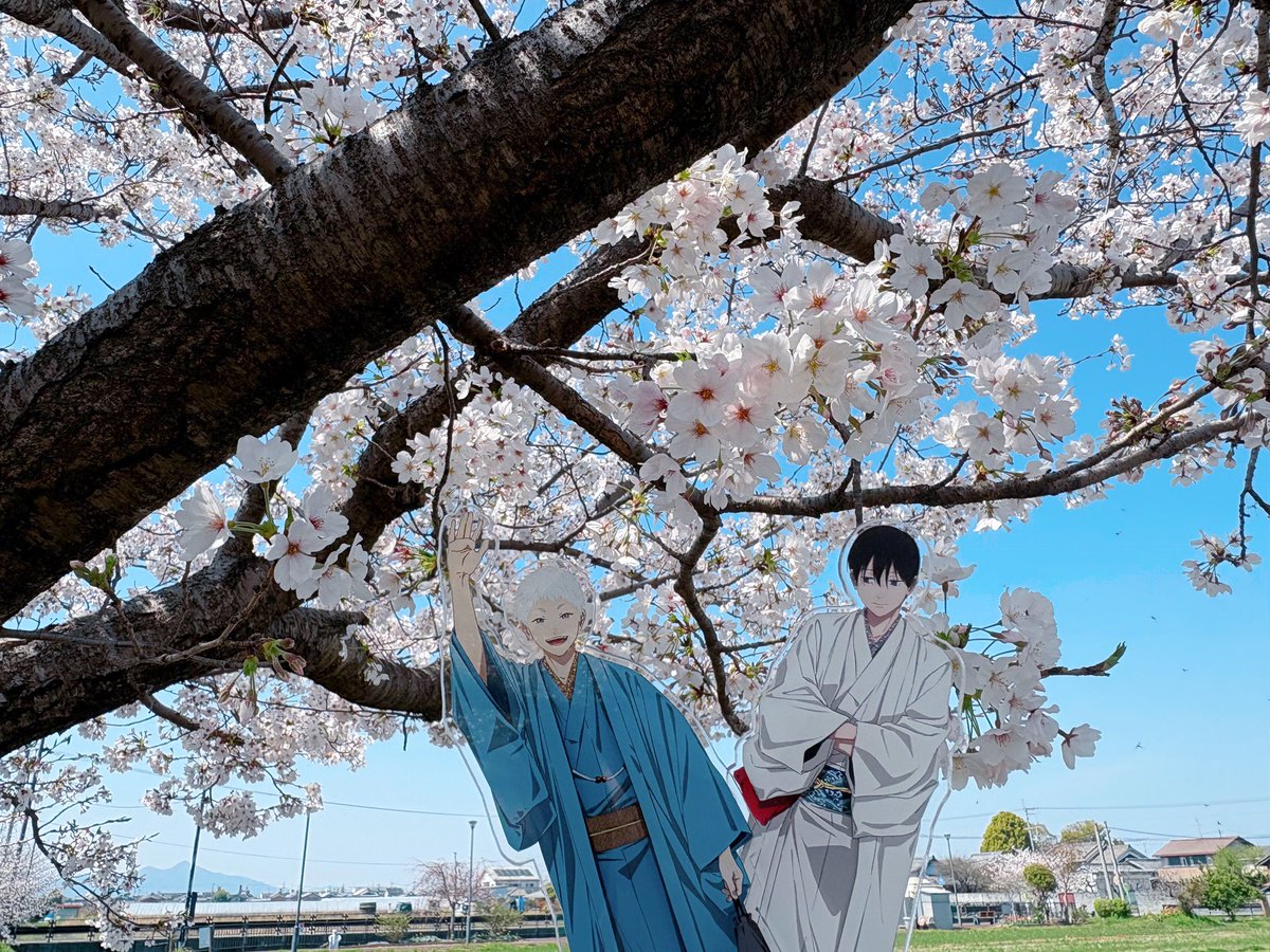 あさお tweet media