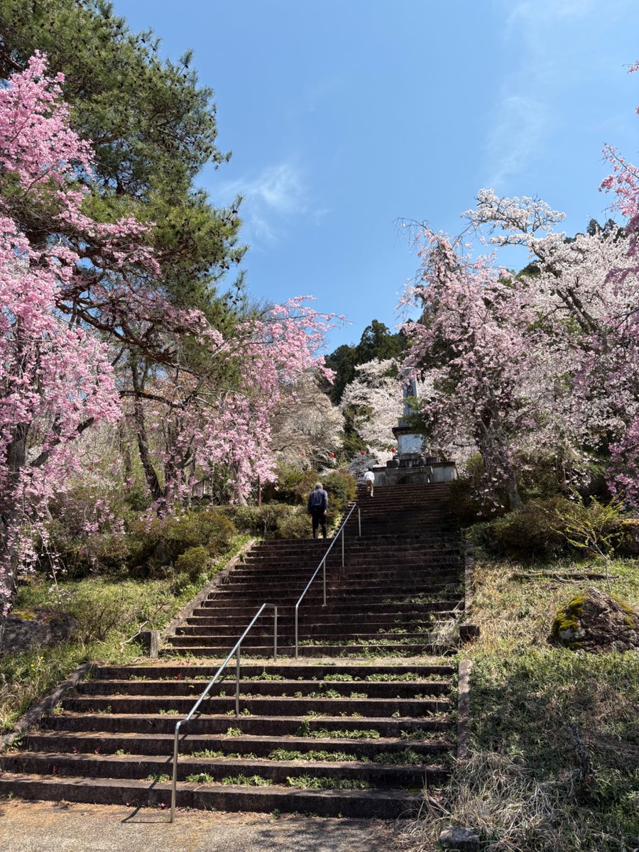OGI_eg's tweet photo. 郡上八幡も春の装い https://t.co/MSfBRNxkQy
