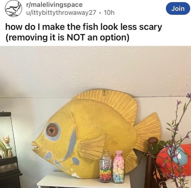 Reddit But Funny tweet media