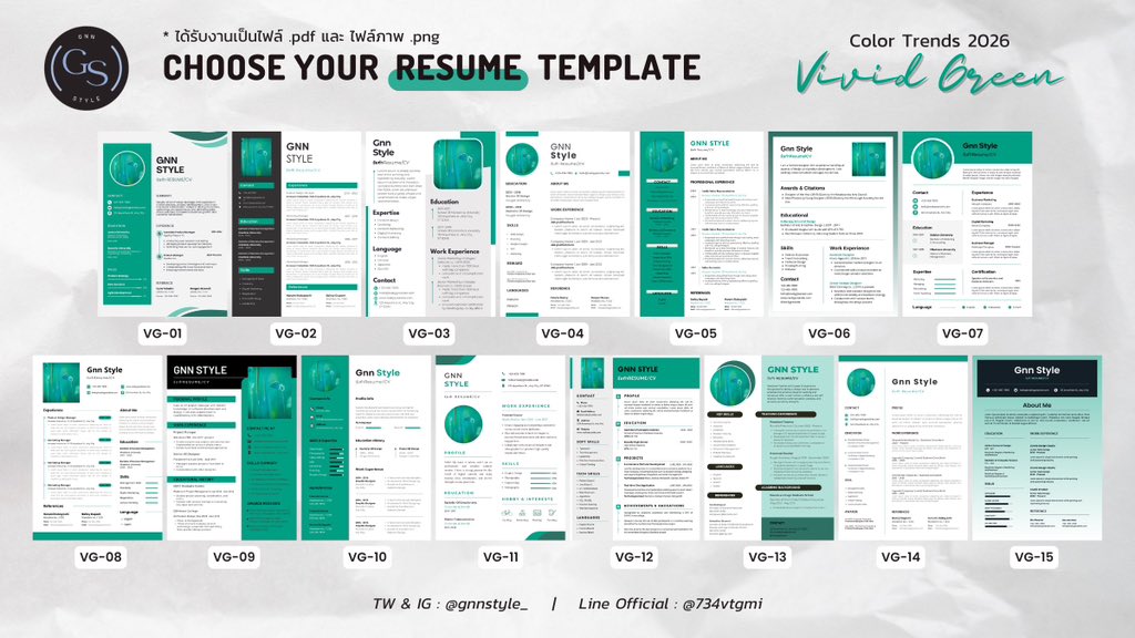 GNN รับทำ Resume/CV/Portfolio/แปลภาษา และอื่นๆ tweet media